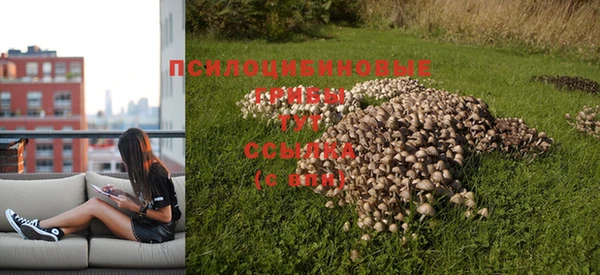 альфа пвп VHQ Коряжма