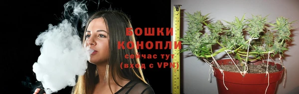 дживик Корсаков