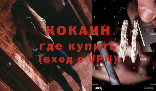 дживик Корсаков