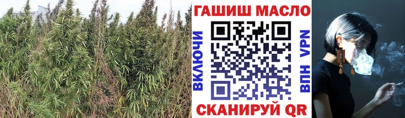Дистиллят ТГК гашишное масло  Купить  Выборг 