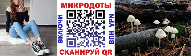 Галлюциногенные грибы мухоморы  Купить  Выборг 